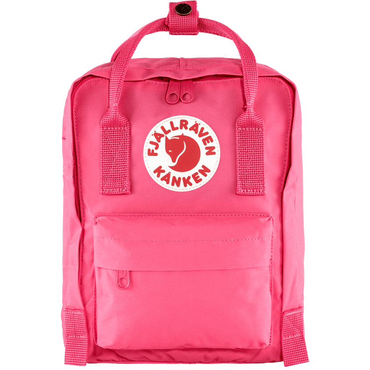 Flamingo-Rosa
